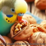 Do Birds Eat Walnuts? What Bird Enthusiasts Need to Know