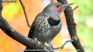 Discovering Woodpeckers of New York: A Nature Lover’s Guide