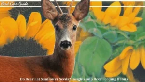 Do Deer Eat Sunflower Seeds? Insights into Deer Feeding Habits