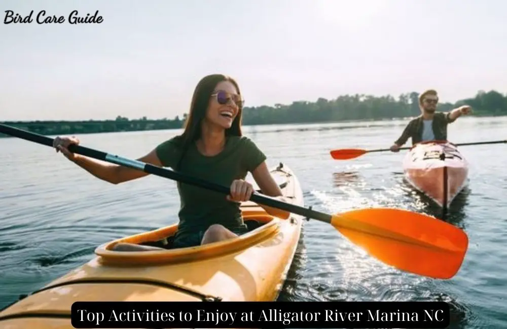 Top Activities to Enjoy at Alligator River Marina NC