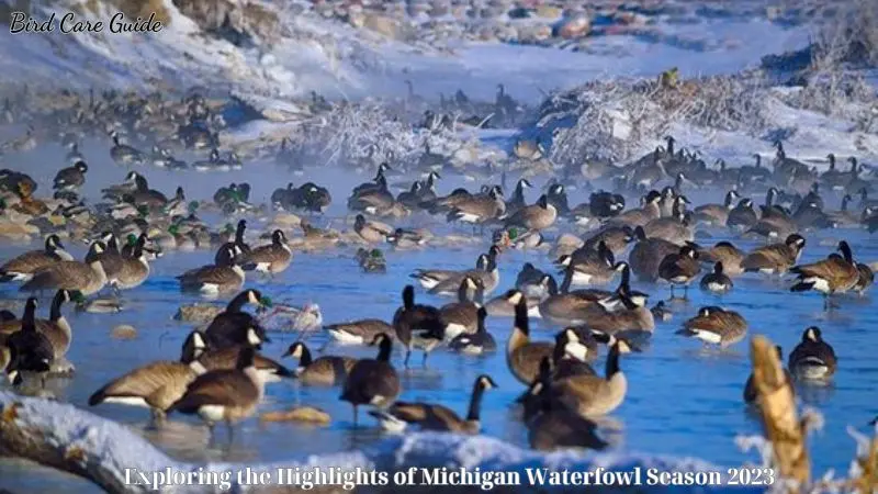  Exploring the Highlights of Michigan Waterfowl Season 2023