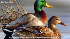 Exploring the Highlights of Michigan Waterfowl Season 2023