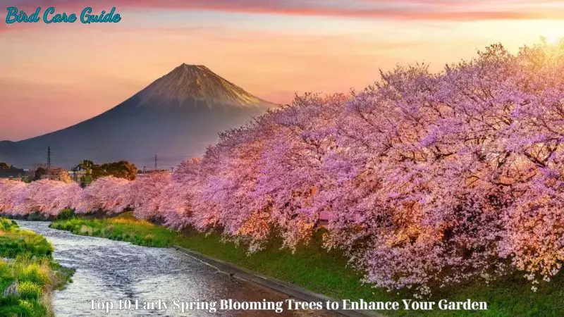 Top 10 Early Spring Blooming Trees to Enhance Your Garden