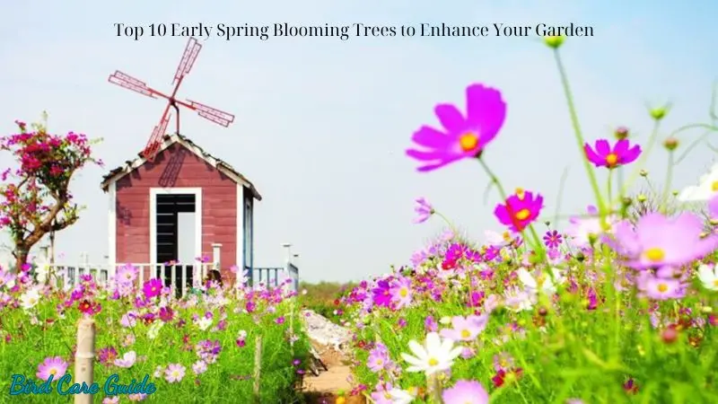 Top 10 Early Spring Blooming Trees to Enhance Your Garden